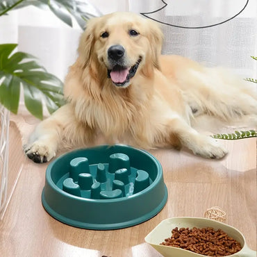 Slow Feeder and Water Bowl Set for Dogs and Cats