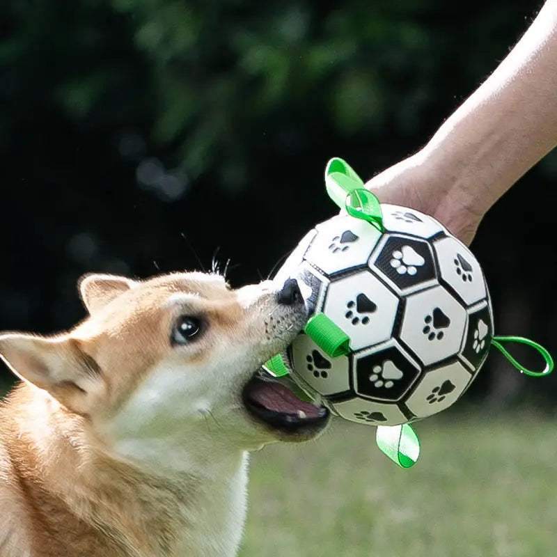 Durable Football Design Pet Toy With Straps Dog Chewing Ball Toy