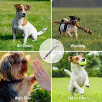 Dog Whistle To Stop Barking, Adjustable Sound Pitch Dog