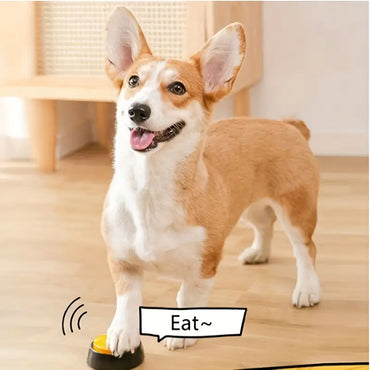 Teach Your Pet To Talk with Pet Training Buttons