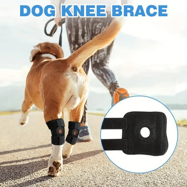 Dog Front Leg Brace, Pet Puppy Kneepad Carpal Support