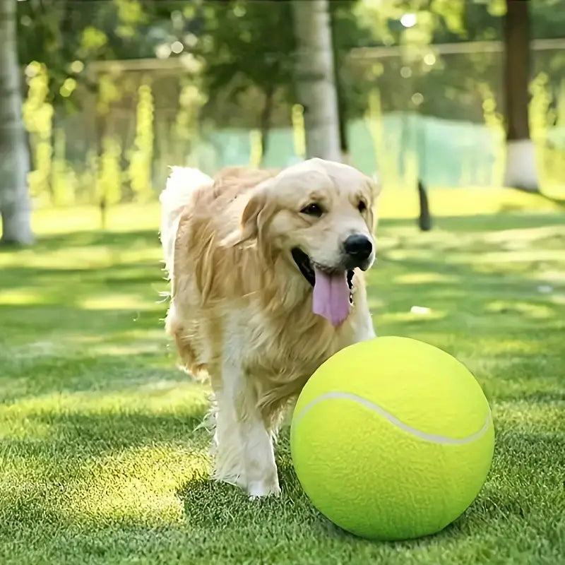 Interactive Tennis Ball Dog Toy for Medium and Large Dogs - Perfect for Training and Playtime - Inflatable and Durable