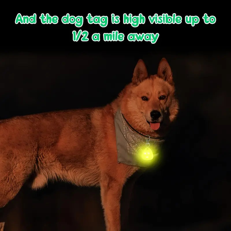 LED Pet Pendant Collar for Night Safety - Includes Battery