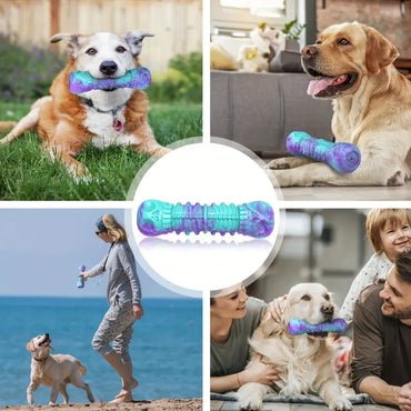 Durable Dog Chew Toy for Teeth Cleaning and Training