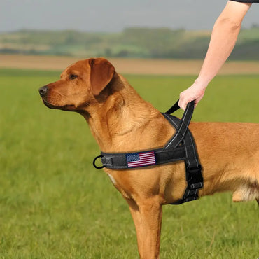 Светлоотразителен колан за кучета без дърпане с мека подплатена дръжка
