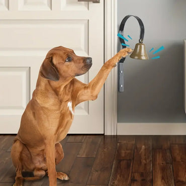 Звънец за обучаване на кучета - Научете вашия домашен любимец да сигнализира