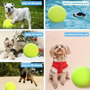 Dolanan Anjing Bola Tenis Interaktif kanggo Asu Sedheng lan Gedhe - Sampurna kanggo Latihan lan Playtime - Inflatable lan Awet